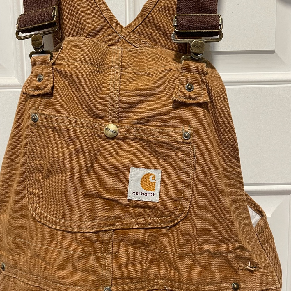 Carhartt insulated bib/overalls